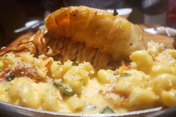 Lobster Maccaroni and Cheese